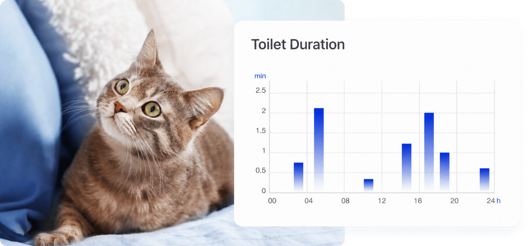 Track Visits, Monitor Cat Health