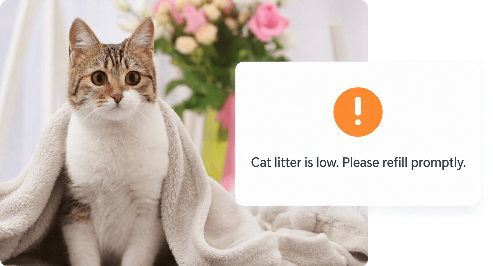 Track Visits, Monitor Cat Health