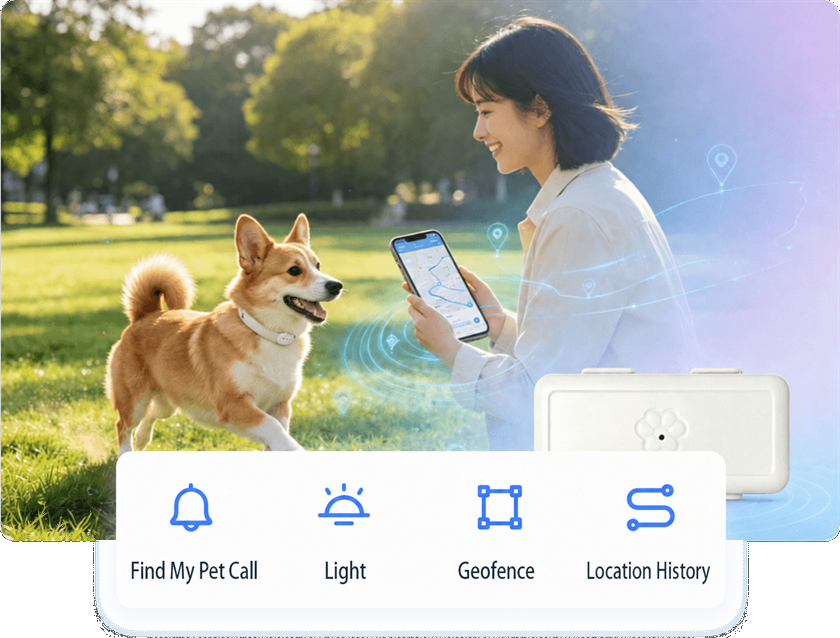 Prevent Pets Getting Lost Outdoors